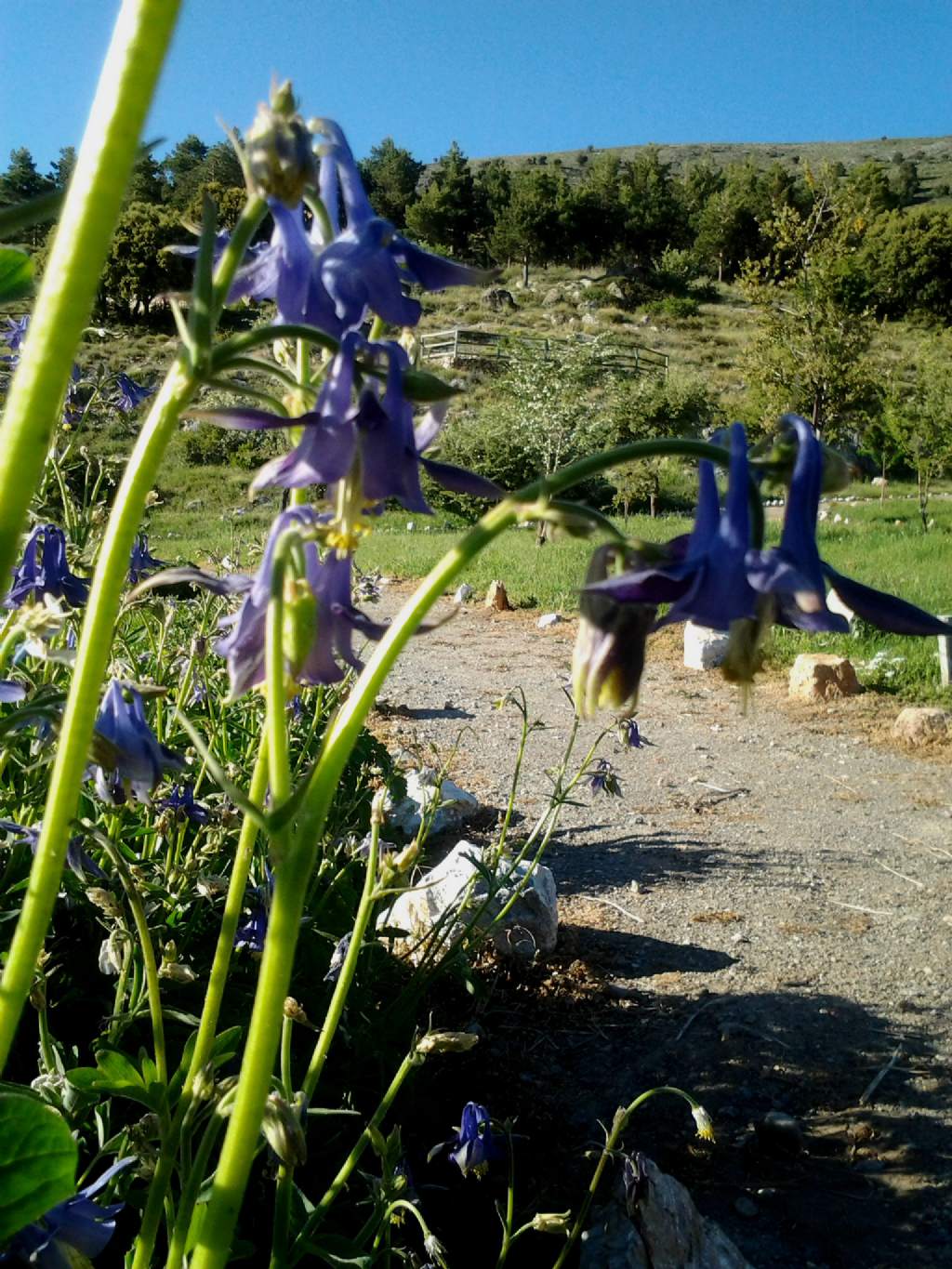 Un giretto sulla Sierra Nevada